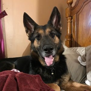 Meet your Posher, Brooke